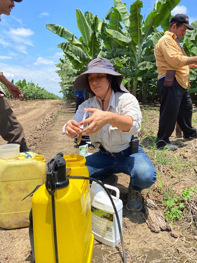 Agro ecuaroriano